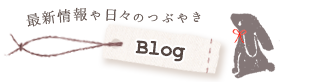 blog